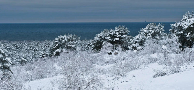A fairytale winter in Neringa